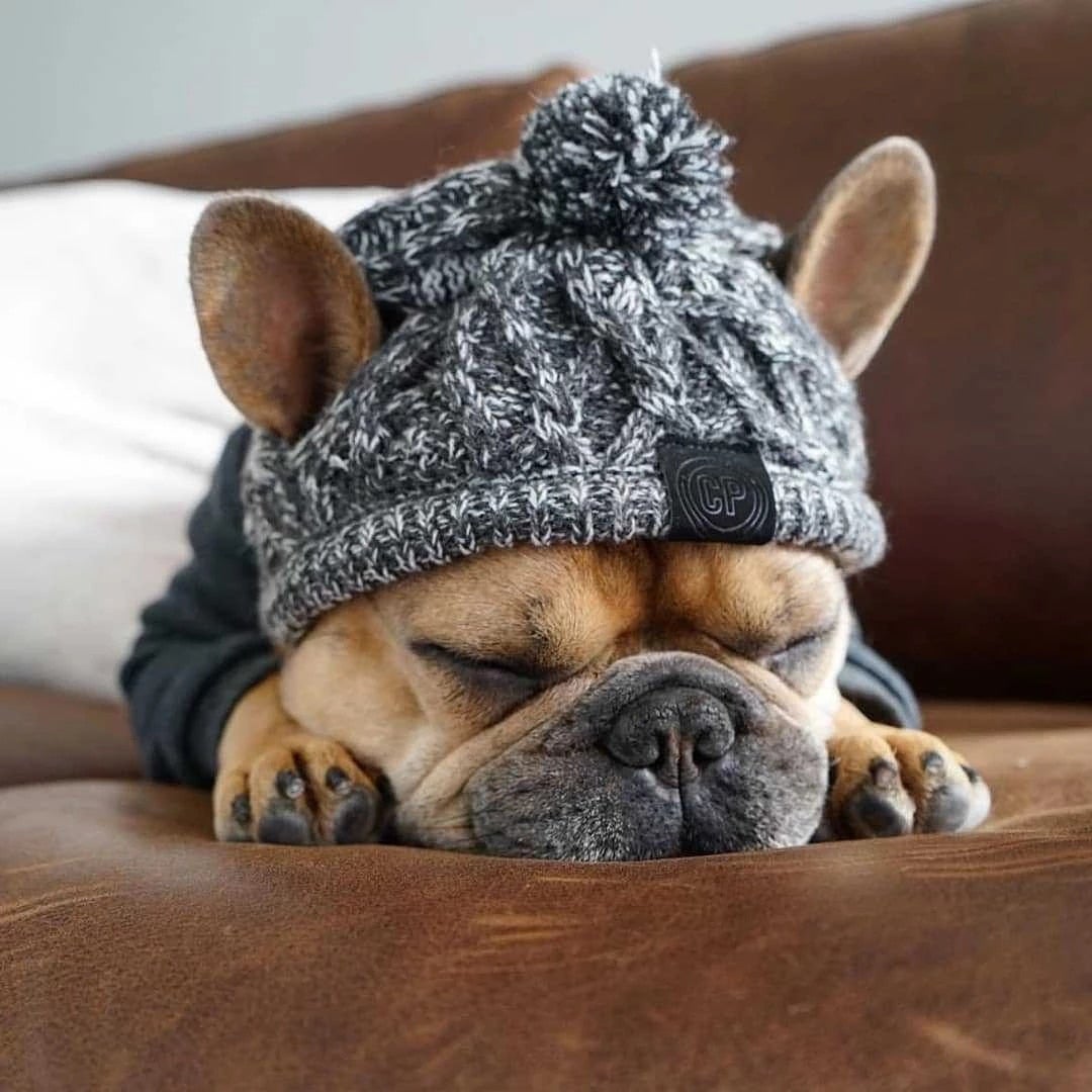 Windproof Knit Hat for Dogs