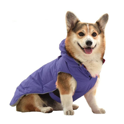 Fleece Padded Dog Harness Coat


