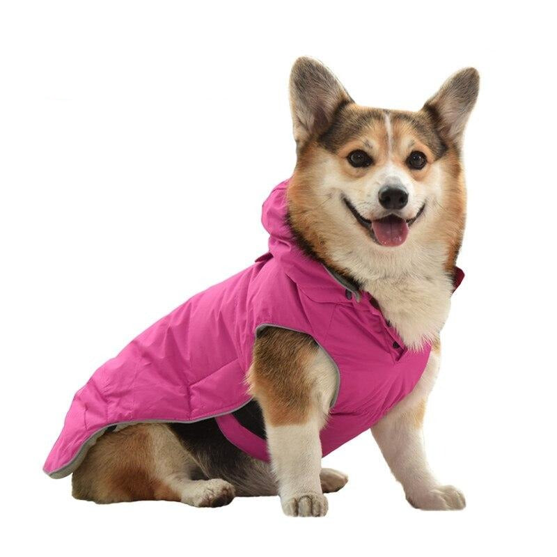 Fleece Padded Dog Harness Coat


