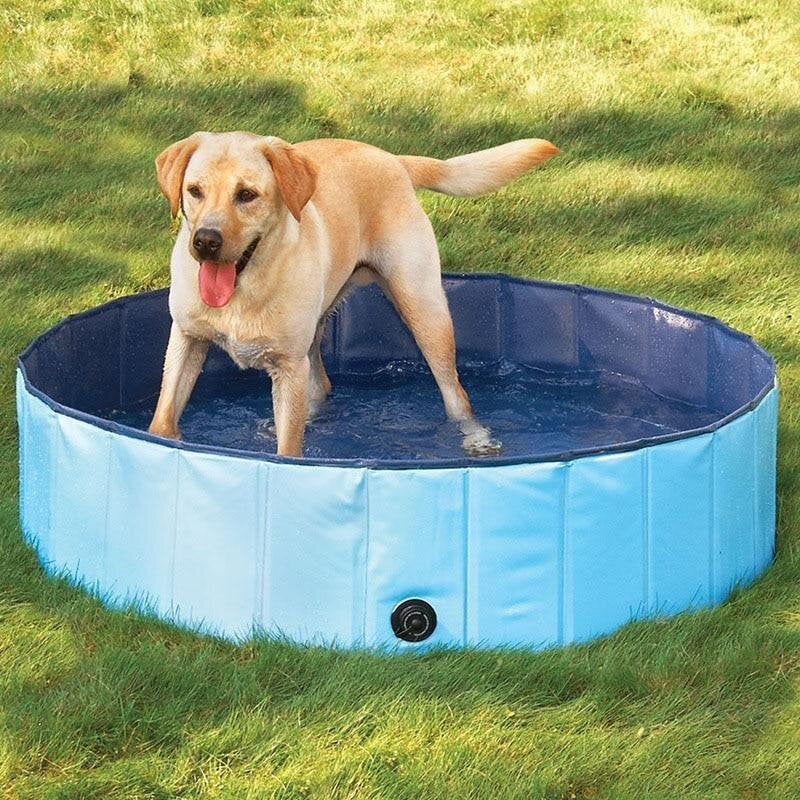 Foldable Pet Swimming Pool


